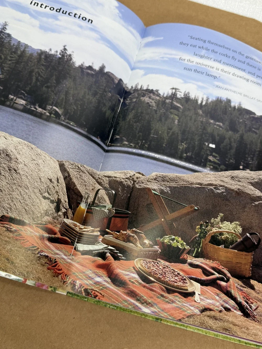 Williams Sonoma Picnics and Tailgates Cookbook Outdoor Recipes Softcover Book